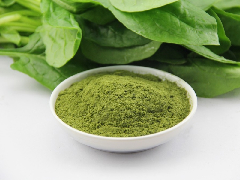  Spinach flour specializes in quality export standards