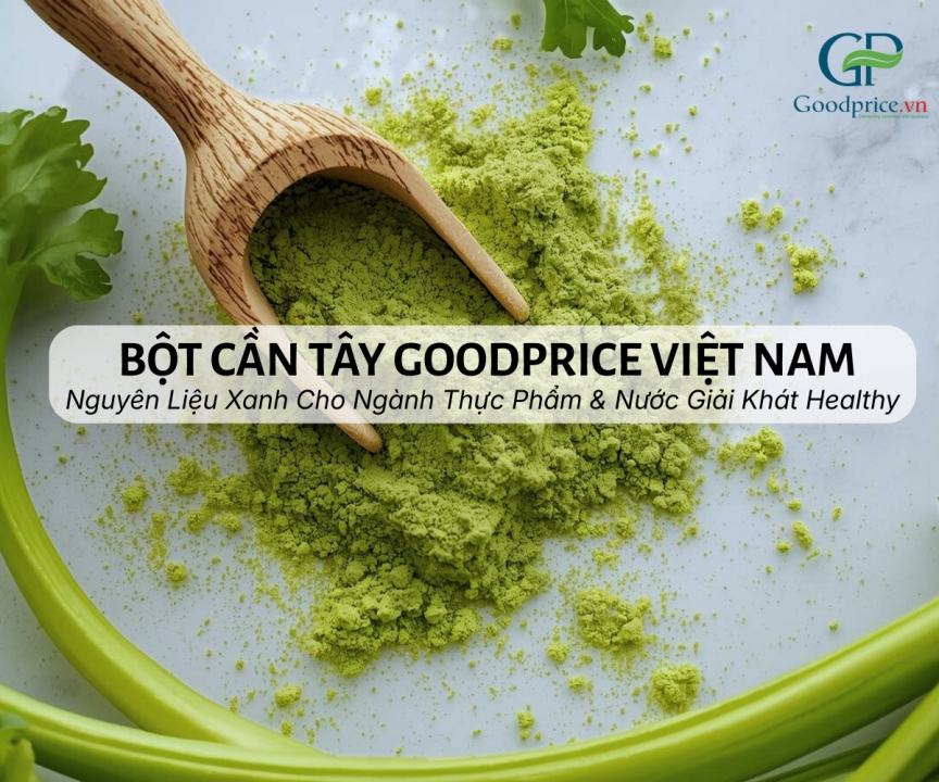 Goodprice Vietnam Celery Powder – A Green Ingredient for the Healthy Food & Beverage Industry