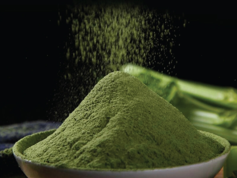 Pure celery powder meets export standards