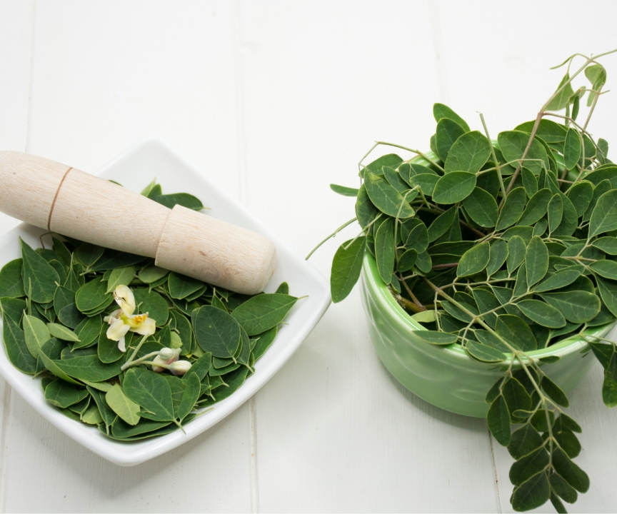 Is Goodprice Moringa Powder 100% Pure? Why Does It Meet Export Standards?