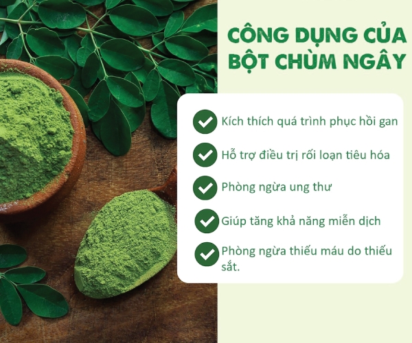 Bột chùm ngây sấy lạnh không chất bảo quản