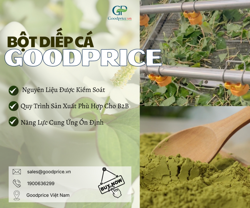 Goodprice Fish Mint Powder – A Stable Supply Source for Cosmetic & Food Businesses