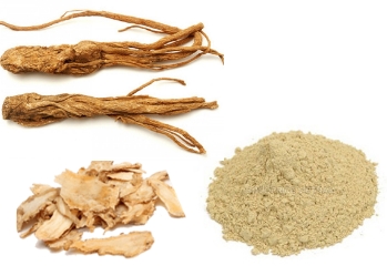 Angelica sinensis - Ginseng medicine for women