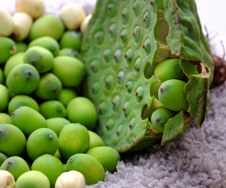 Lotus Seed Powder in the F&B Industry – A New Trend in Food & Beverage Business