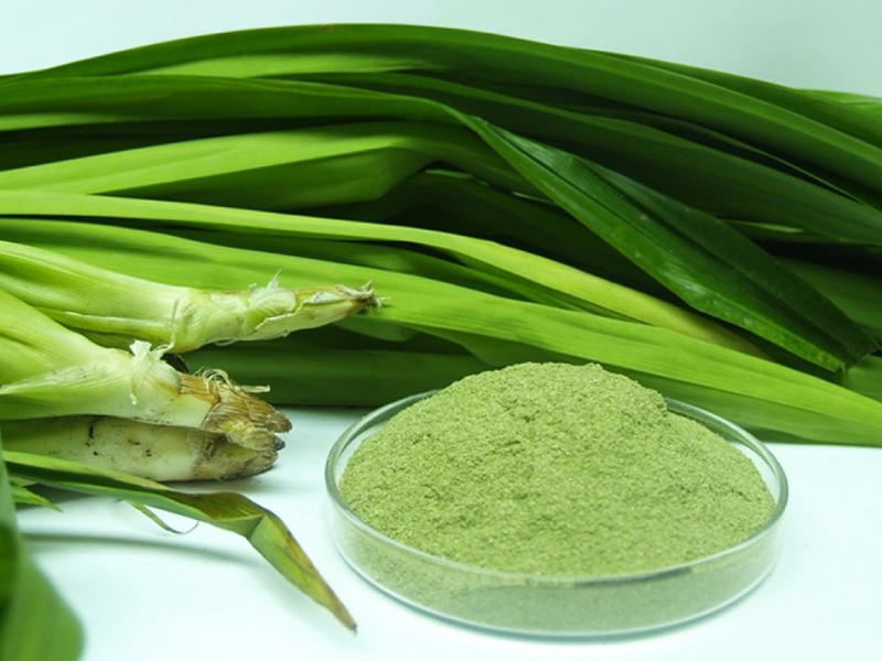 Pandan leaf powder buy where the best quality