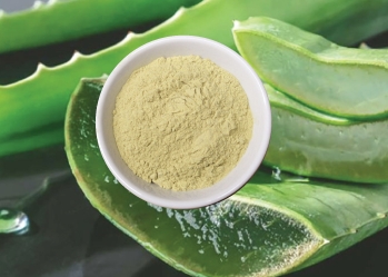 High quality aloe vera powder with export standards
