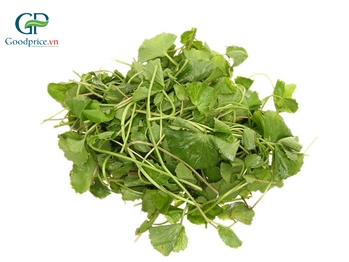 Bột Rau Má Có Tác Dụng Gì? Lợi Ích Và Ứng Dụng Cho Doanh Nghiệp
