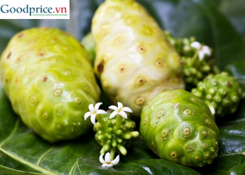Bột trái nhàu có tốt cho người cao tuổi không? 