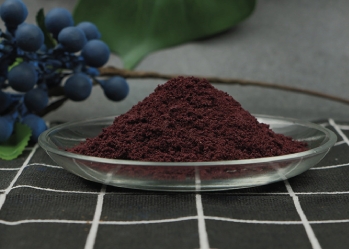 Pure blueberry powder - High quality food powder