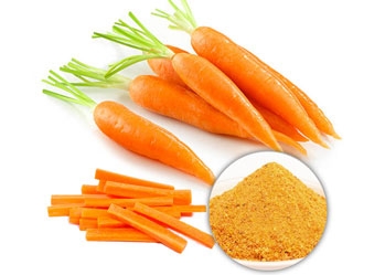  How to make carrot powder at home?