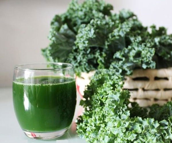 Cải kale là gì? tác dụng của bột cải kale
