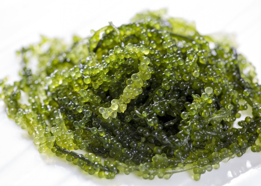 Uses of Grape seaweed powder for health
