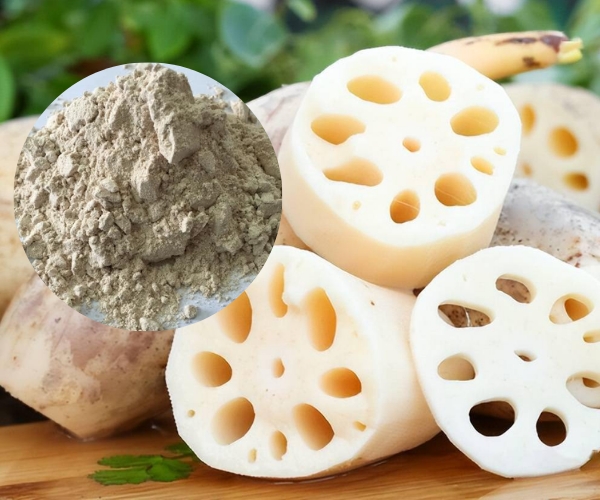 Công dụng của bột củ sen có tốt cho sức khoẻ không? 