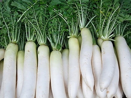 Uses from white radish