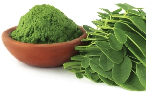 Nutrition of pure Moringa | Goodprice Vietnam