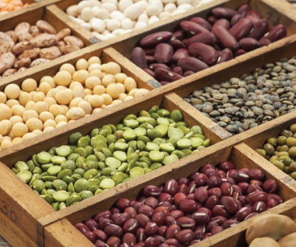 Dòng ngũ cốc các loại hạt nhiều dinh dưỡng lợi cho sức khỏe
