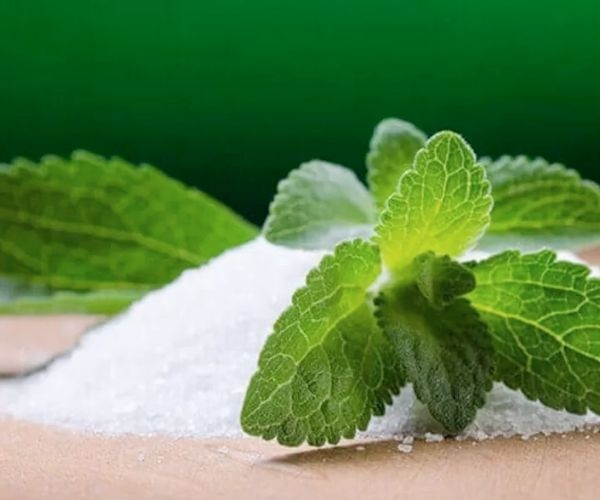 Đường stevia là gì? Dùng đường stevia có tốt không?