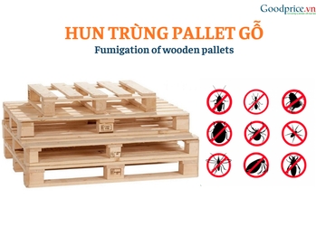 What is fumigation? Why must wooden pallets be fumigated before export?
