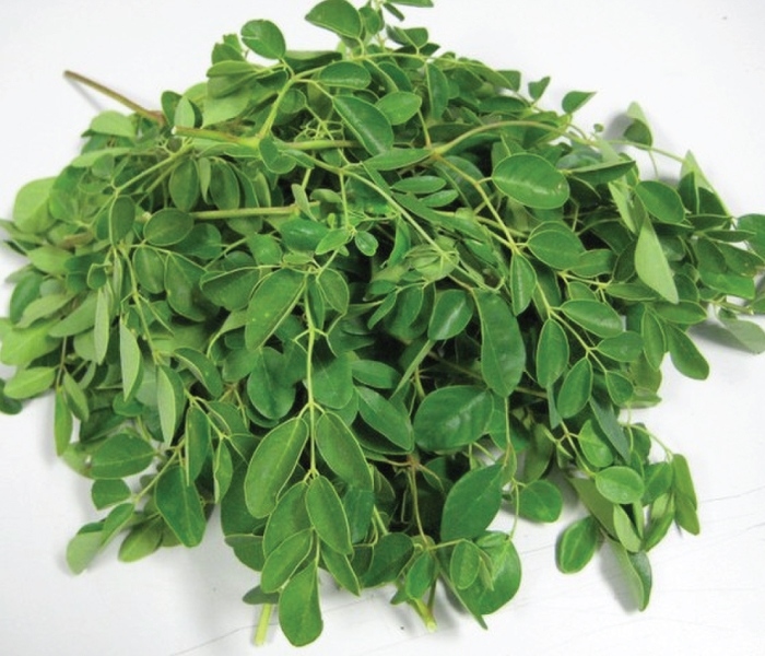 What are the benefits of Moringa leaves? Nutrition and health