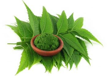  Incredible benefits from neem leaf powder for skin, hair and health