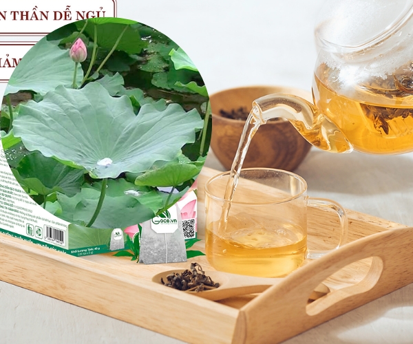 Lợi ích khi dùng trà sen giảm cân ít người biết