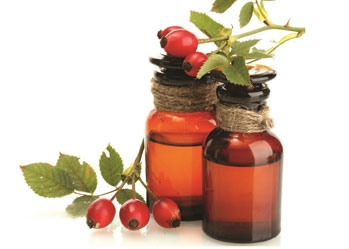 Benefits and uses of rosehip oil