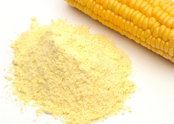 Mua bột bắp nguyên chất để sản xuất sữa 