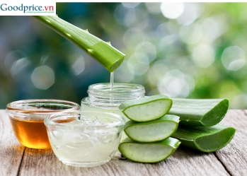 Where is the best quality aloe vera grown?