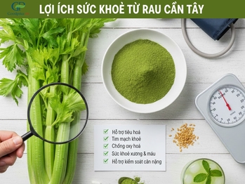 Discover the benefits of celery & the convenience of Goodprice Vietnam Celery Powder