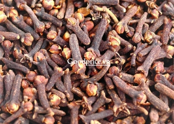 The effect of dried clove buds
