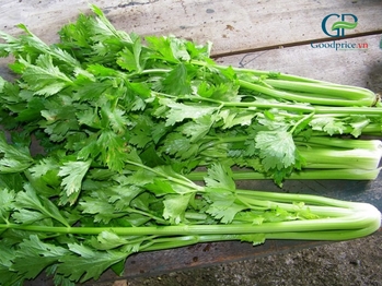 TẠI SAO BỘT CẦN TÂY SẤY LẠNH CÓ CHẤT LƯỢNG TỐT HƠN?