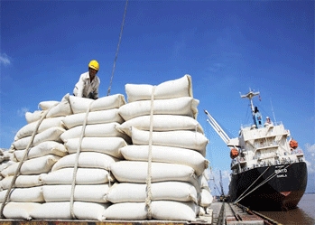 Thị trường xuất khẩu gạo sang châu Phi tiếp tục tăng mạnh