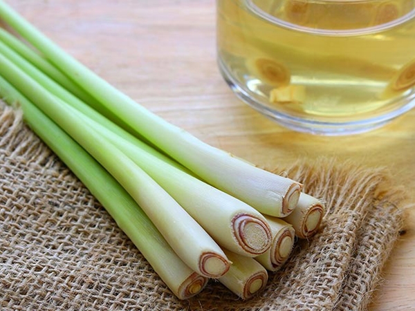 Learn about the benefits of lemongrass for health