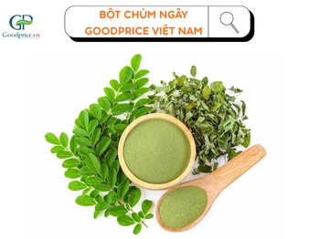 Why Goodprice Vietnam Moringa Leaf Powder is Increasingly Popular in the U.S. Market? 