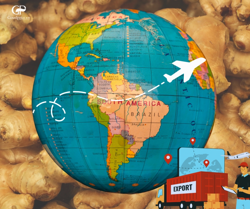 Ginger Powder Export – Opportunities and Challenges for Vietnamese Enterprises in 2025