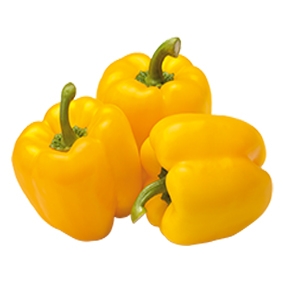Ớt chuông vàng đà lạt