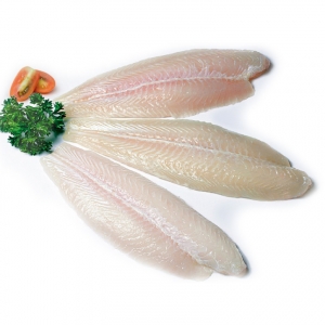 Frozen basa fish fillet 