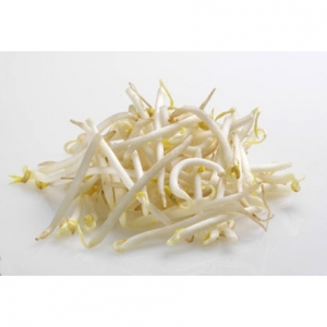 Bean sprout from viet nam with best price and high quality