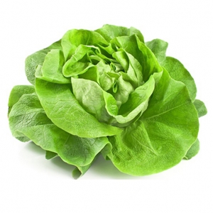 Lettuce