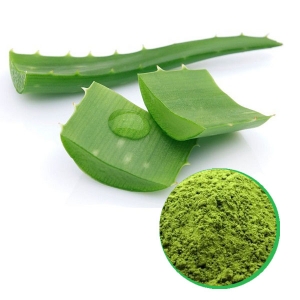 Aloe vera powder