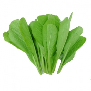 Cải xanh miền tây