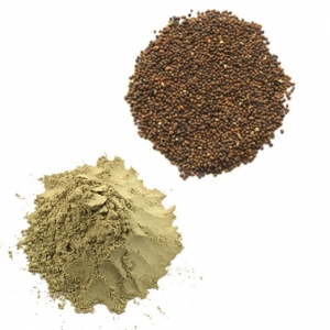 Cuscuta chinensis powder