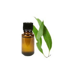Eucalyptus essential oil 100% pure