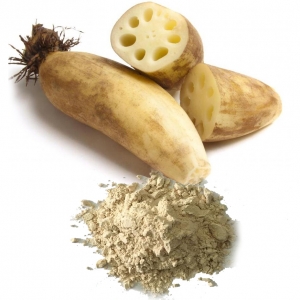 Bột củ sen