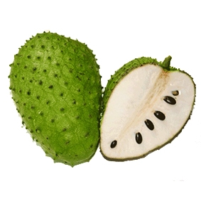 Fresh soursop fruit from vietnam