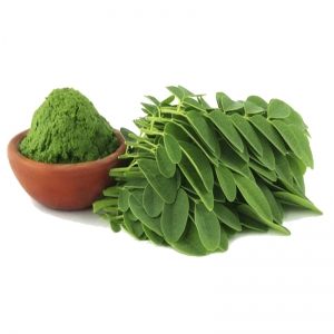 Moringa oleifera powder