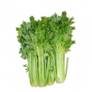 Celery