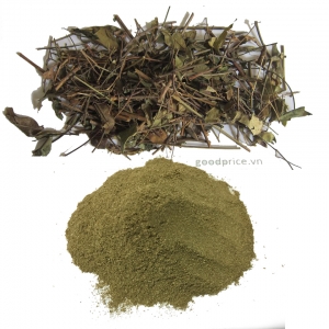 Bột chè vằng