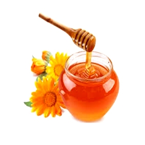 Vietnam 100% pure honey from viet nam high quality