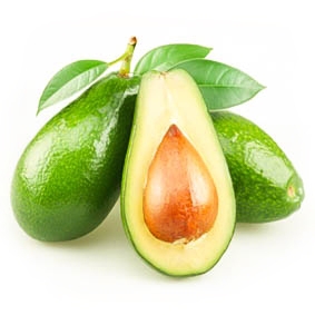 Fresh avocado fruit from vietnam